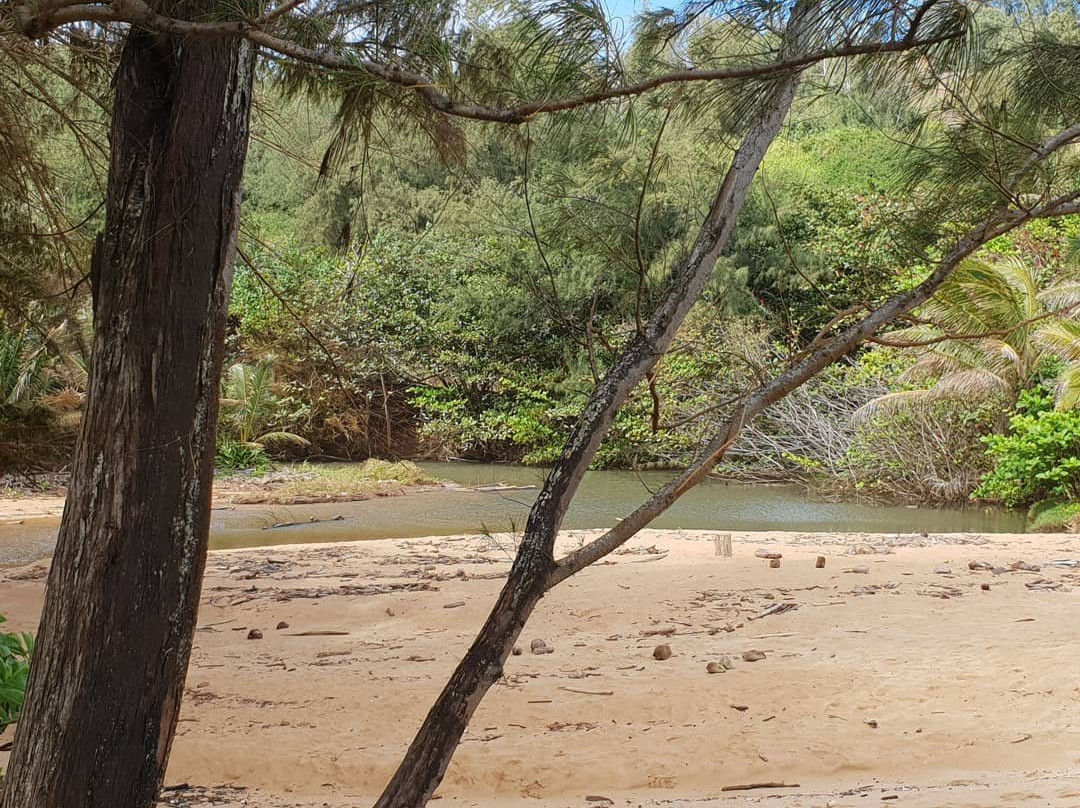 Robert's Hawaii-利胡埃必去景点