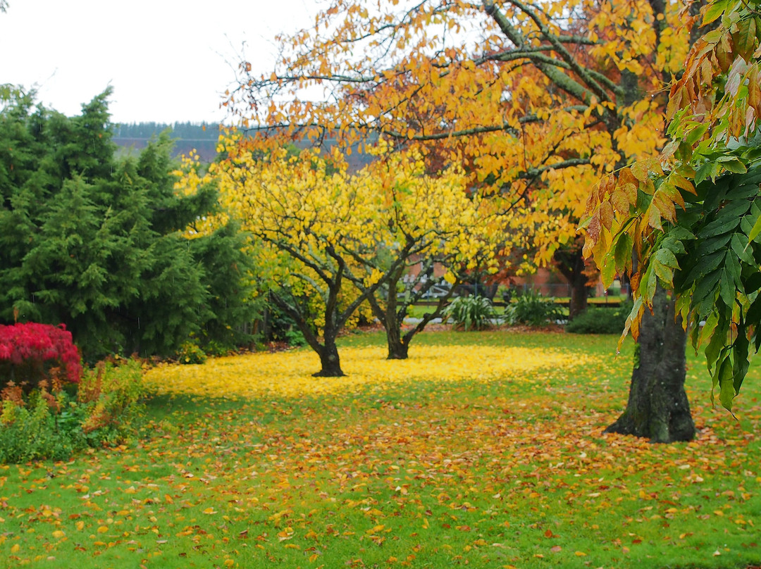 Hartley Homestead Boutique Bed and Breakfast主图