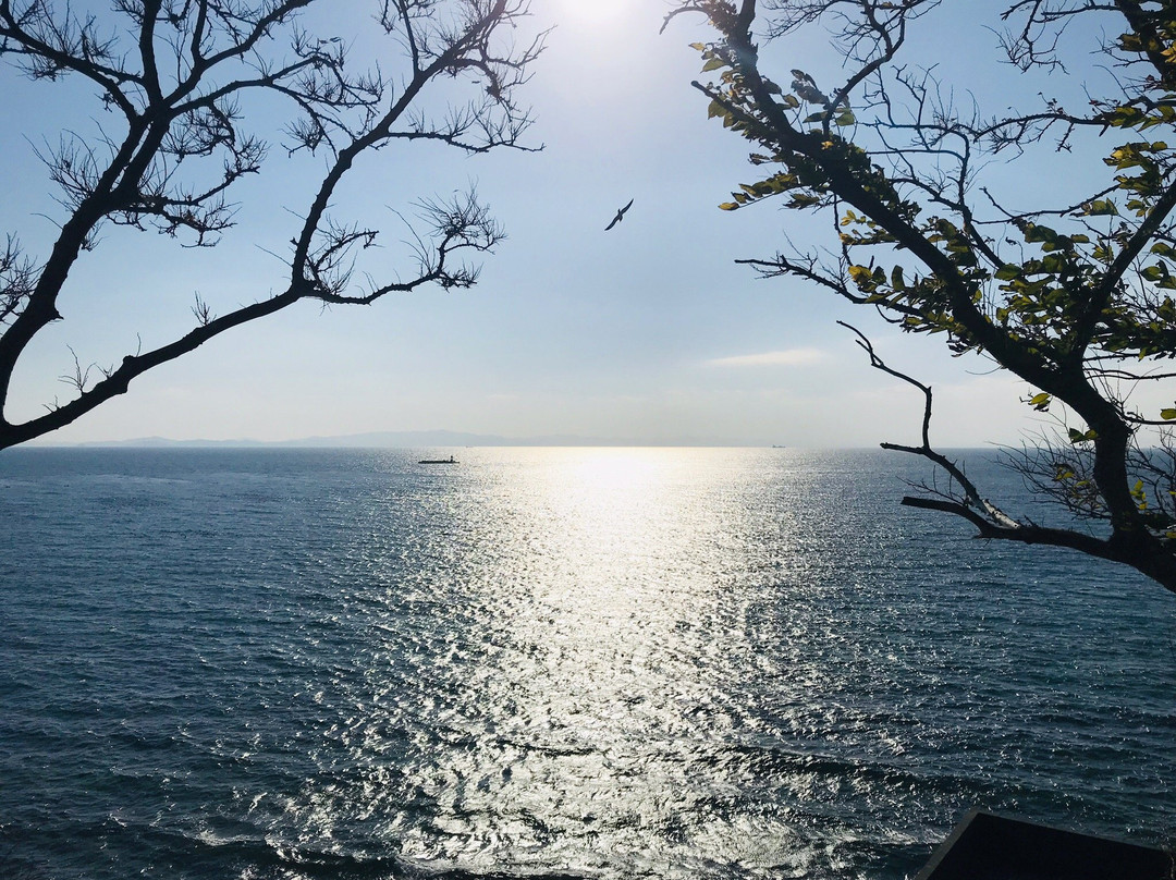 Morozaki Hazu Cape (Hazu Jinja Shrine)景点图片