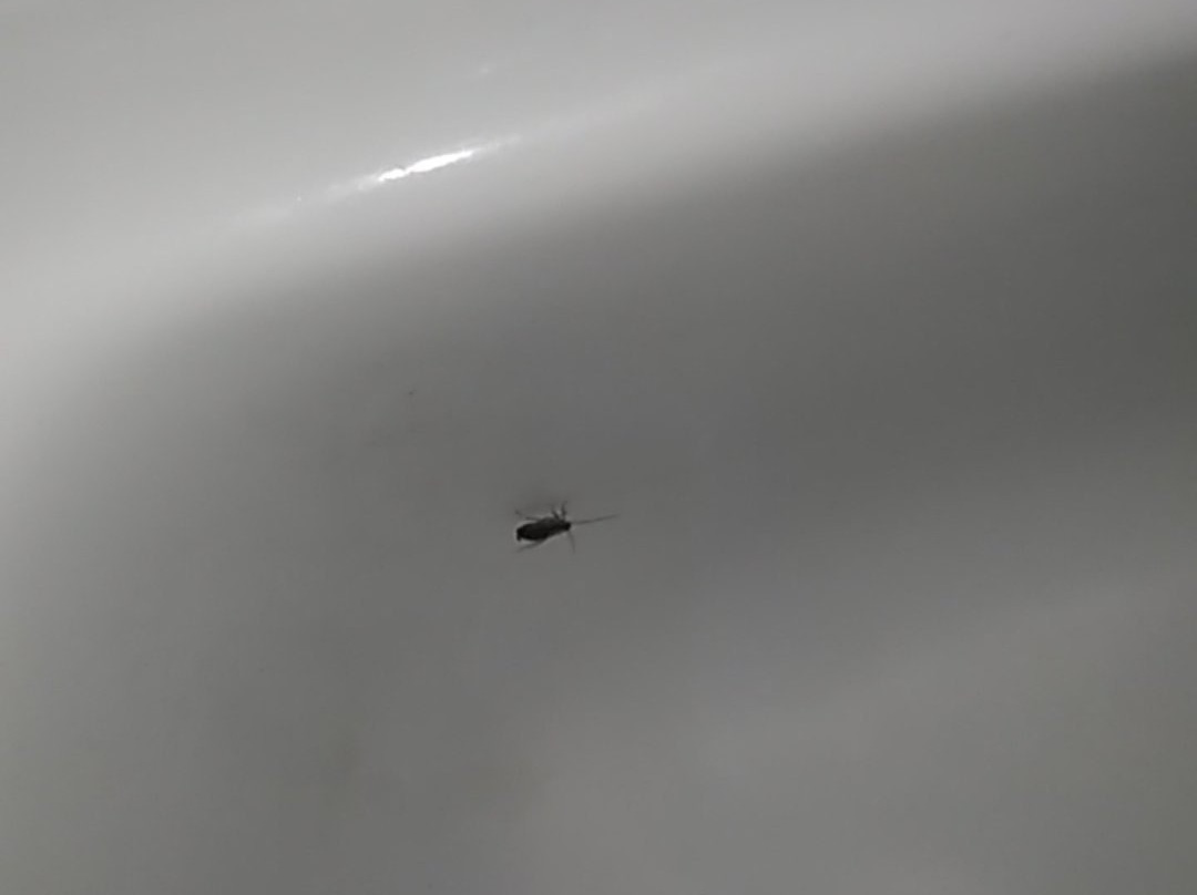 Zanrock Micro Hotel and Orlando's Resto Bar主图