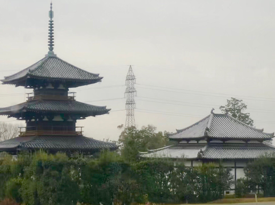 Hoki-ji Temple景点图片