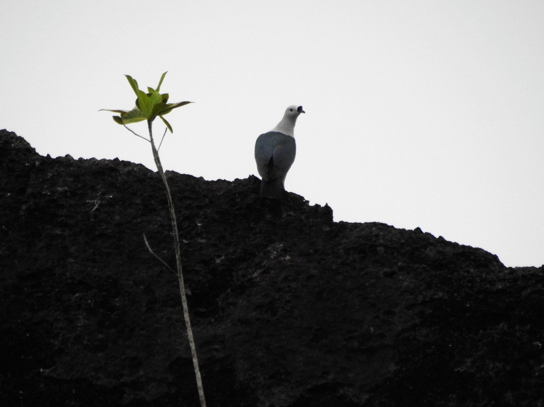 Kabui Bay-四王岛必去景点