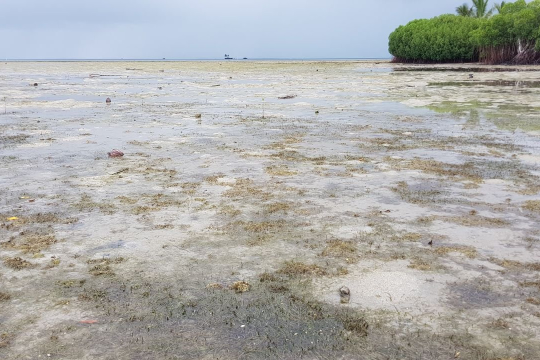 托伯岛度假酒店主图