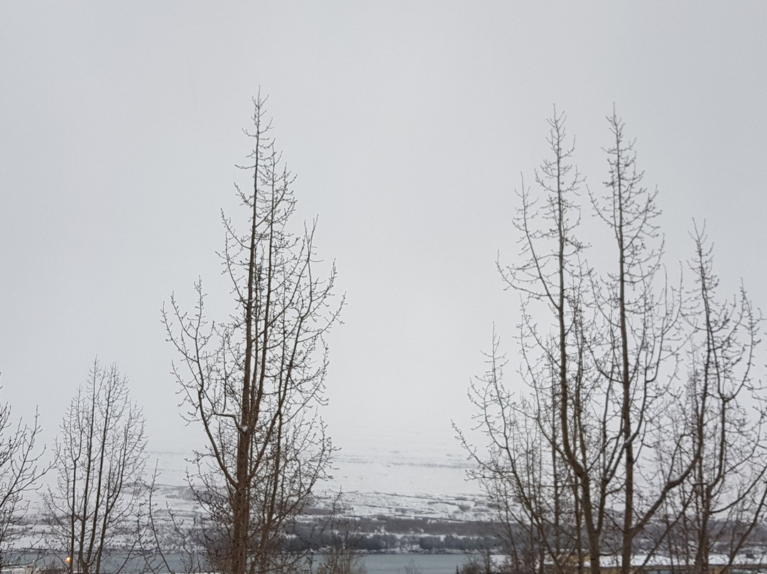 阿库雷里冰岛酒店主图