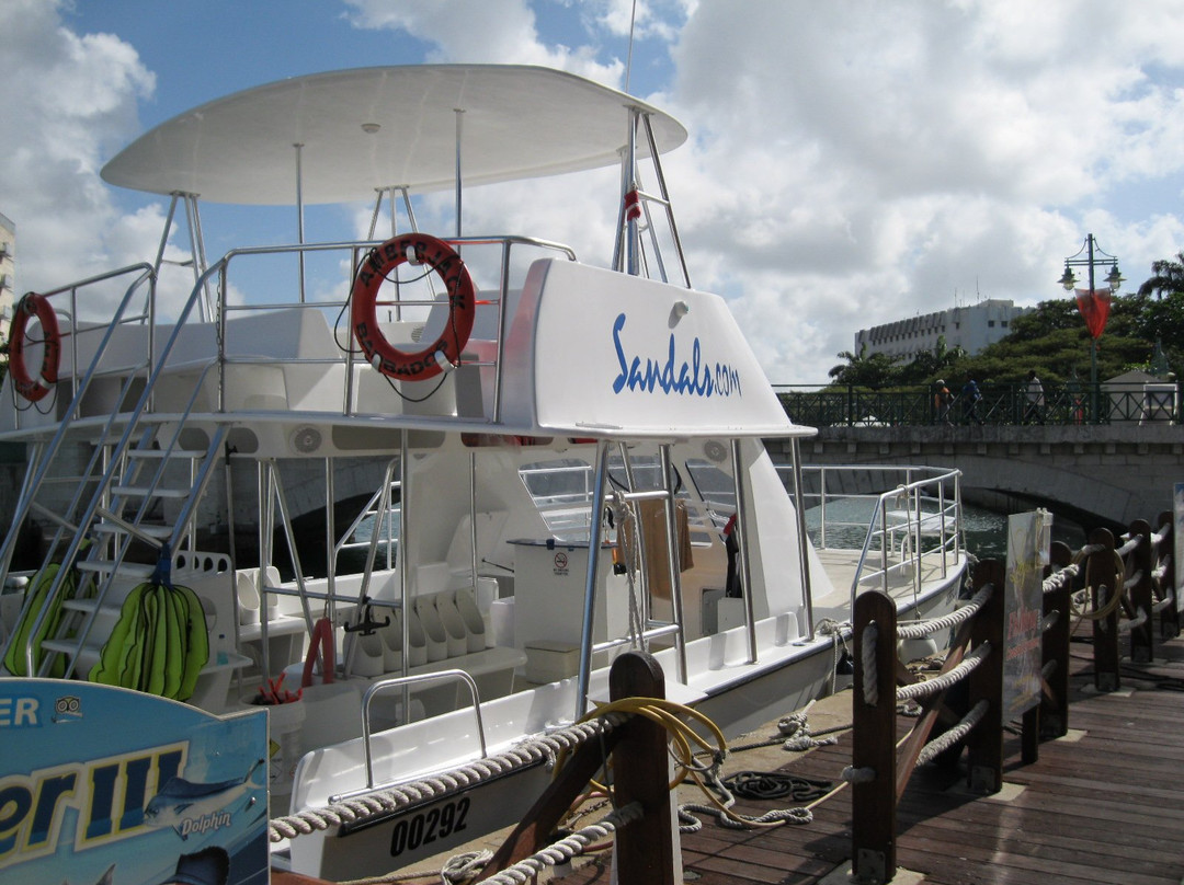 Sandals Barbados主图