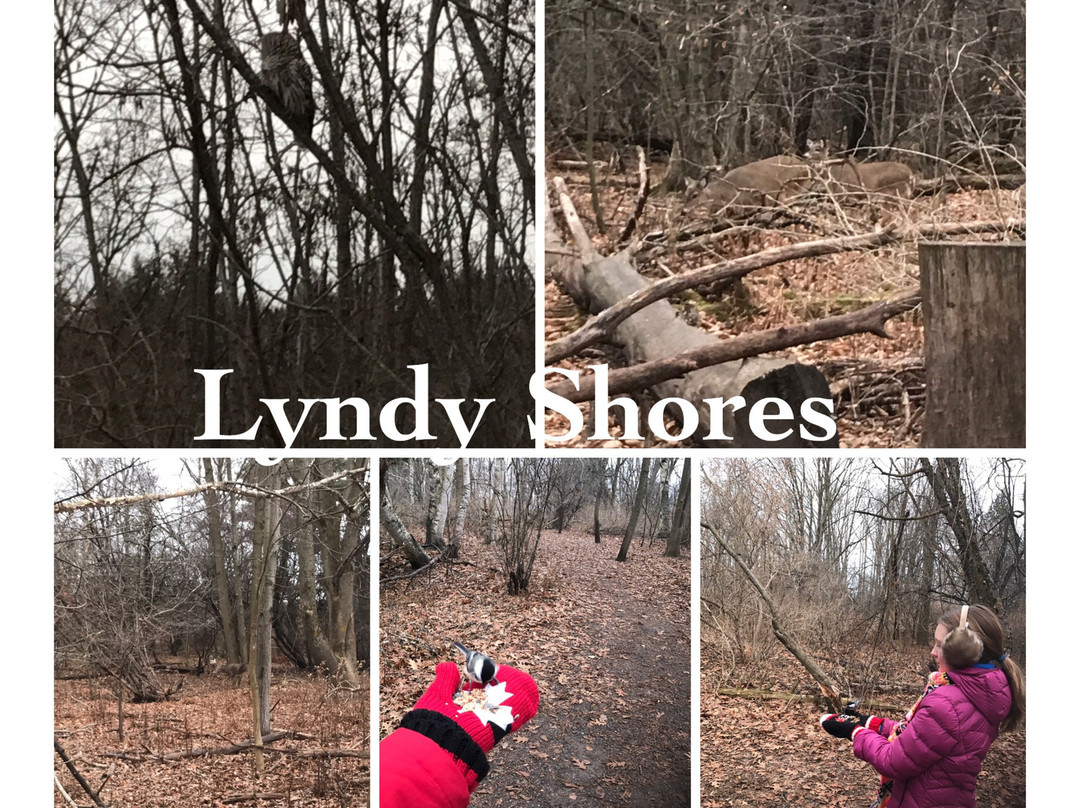 Lynde Shores Conservation Area-Whitby必去景点