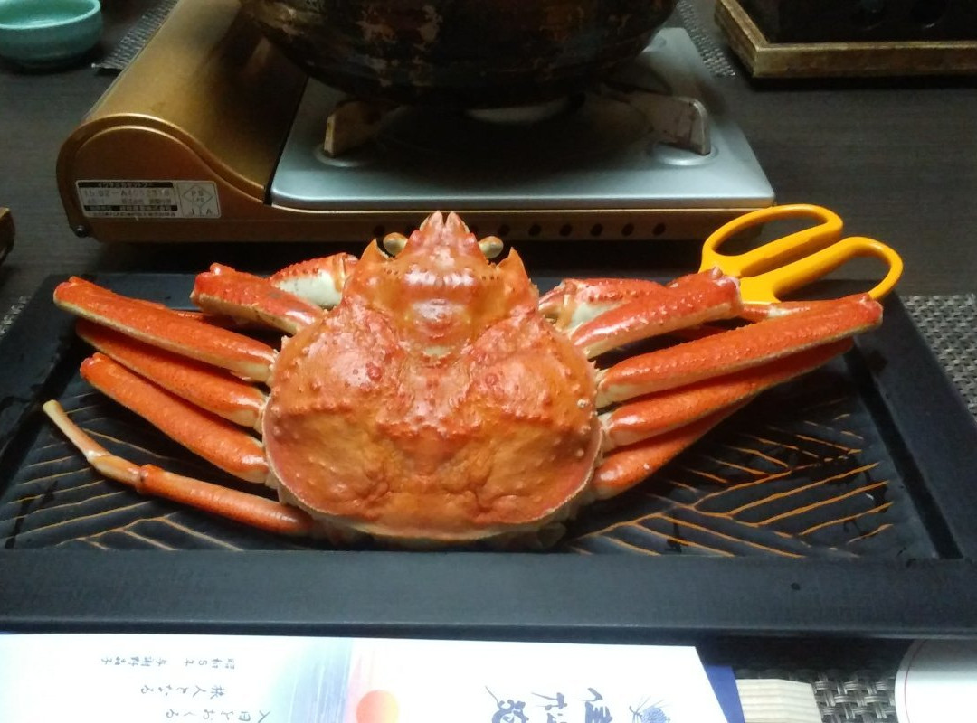 Yuhigaura Onsen Kashoen主图