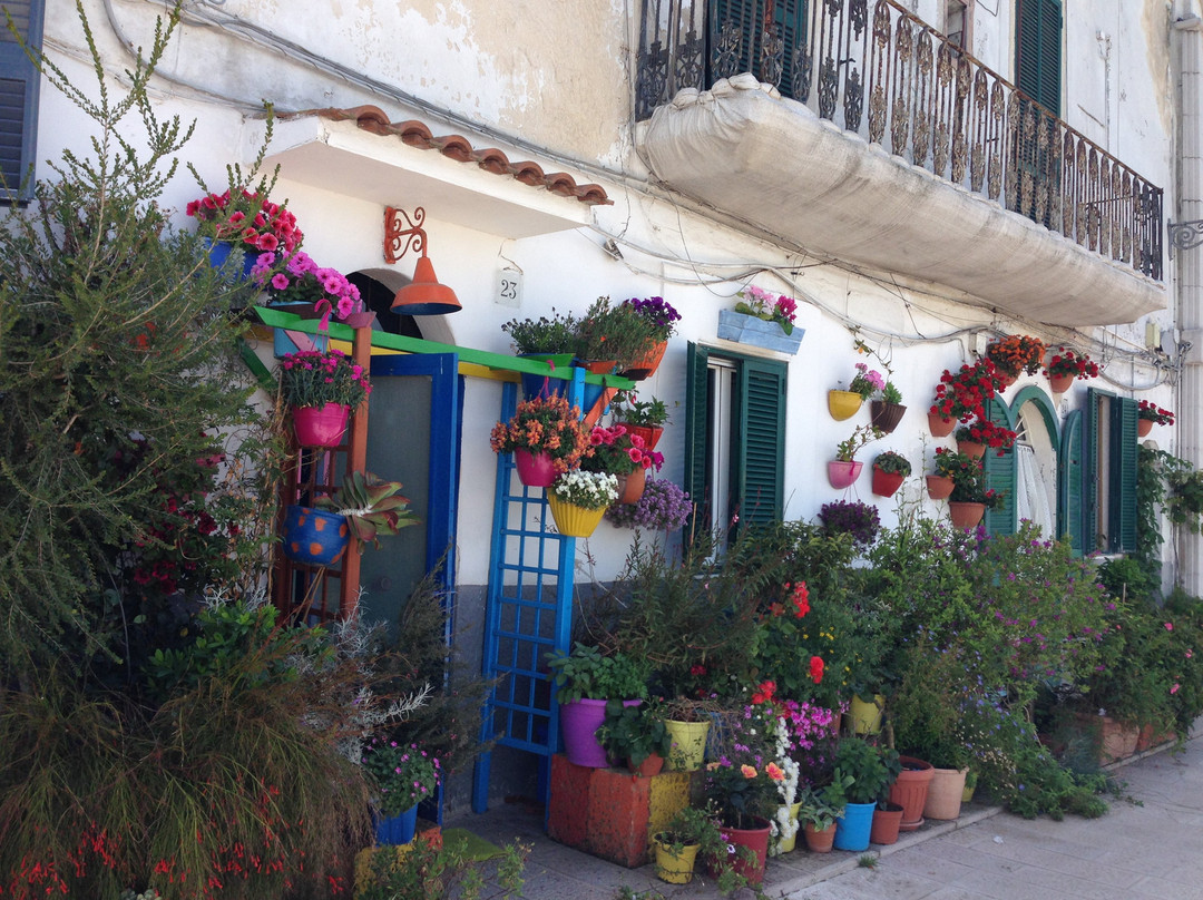 Puglia Private Tour-Ceglie Messapica必去景点