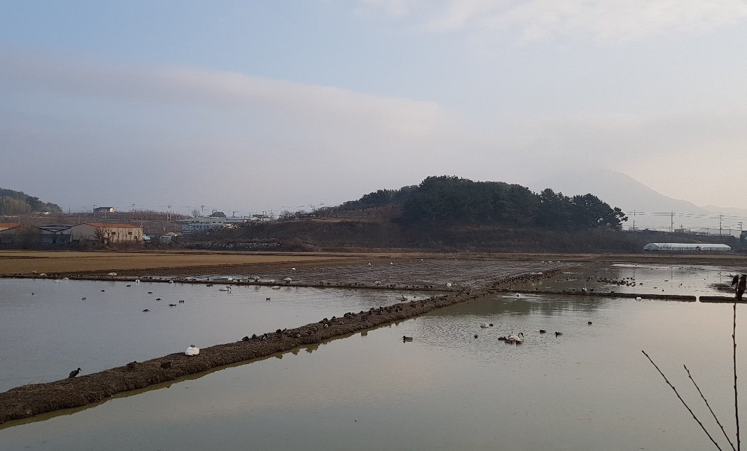 Junam Reservoir-昌原市必去景点