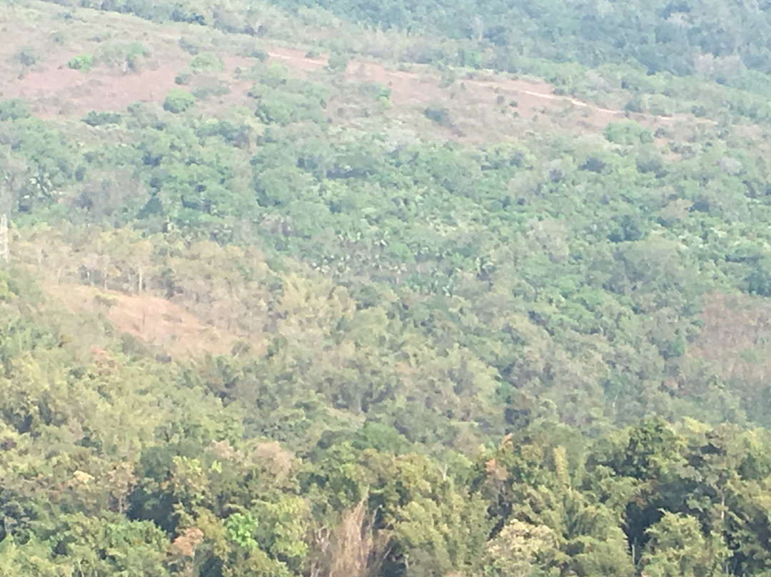 Malayattoor Church景点图片