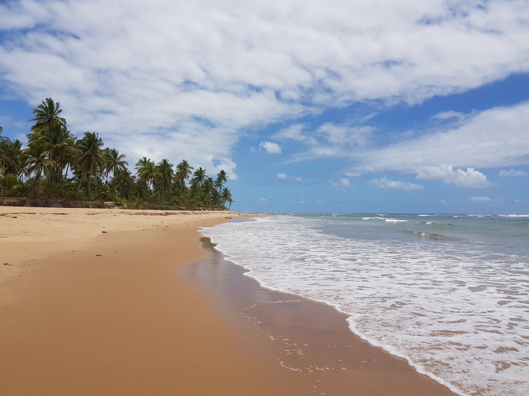 Pousada Taipu de Fora主图