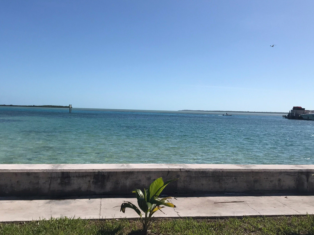 Bimini Road-Bimini必去景点