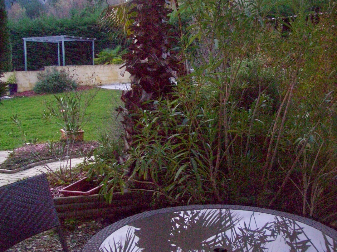 峡谷花园酒店主图