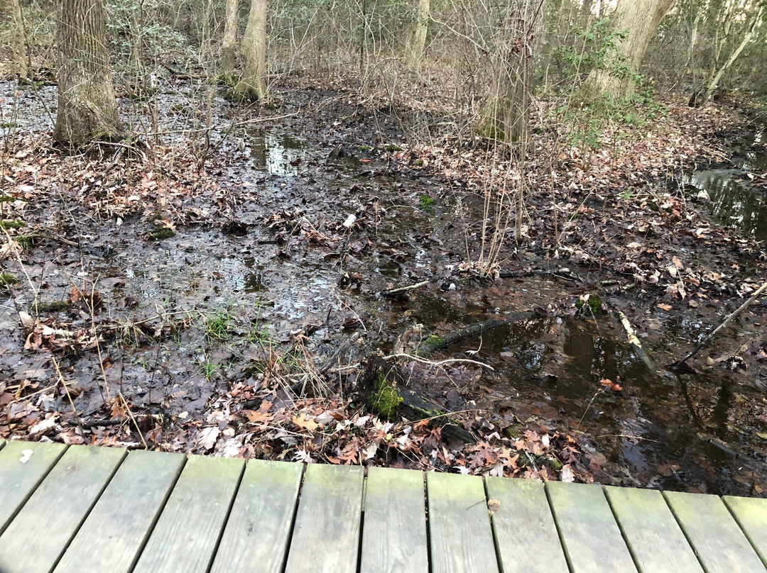 Browns Branch County Park-Harrington必去景点