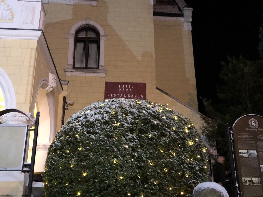 Hotel Bursztynowy Palac主图