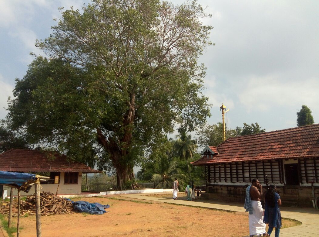 Thirumandhamkunnu Bhagavathy Temple景点图片