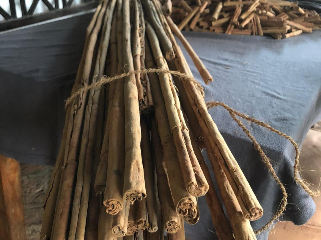 Amuura Beach House主图