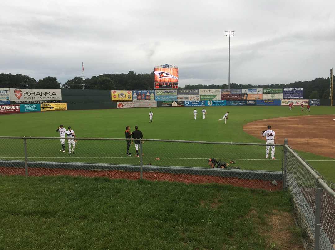 Arthur W. Perdue Stadium (Delmarva Shorebirds)-索尔兹伯里必去景点