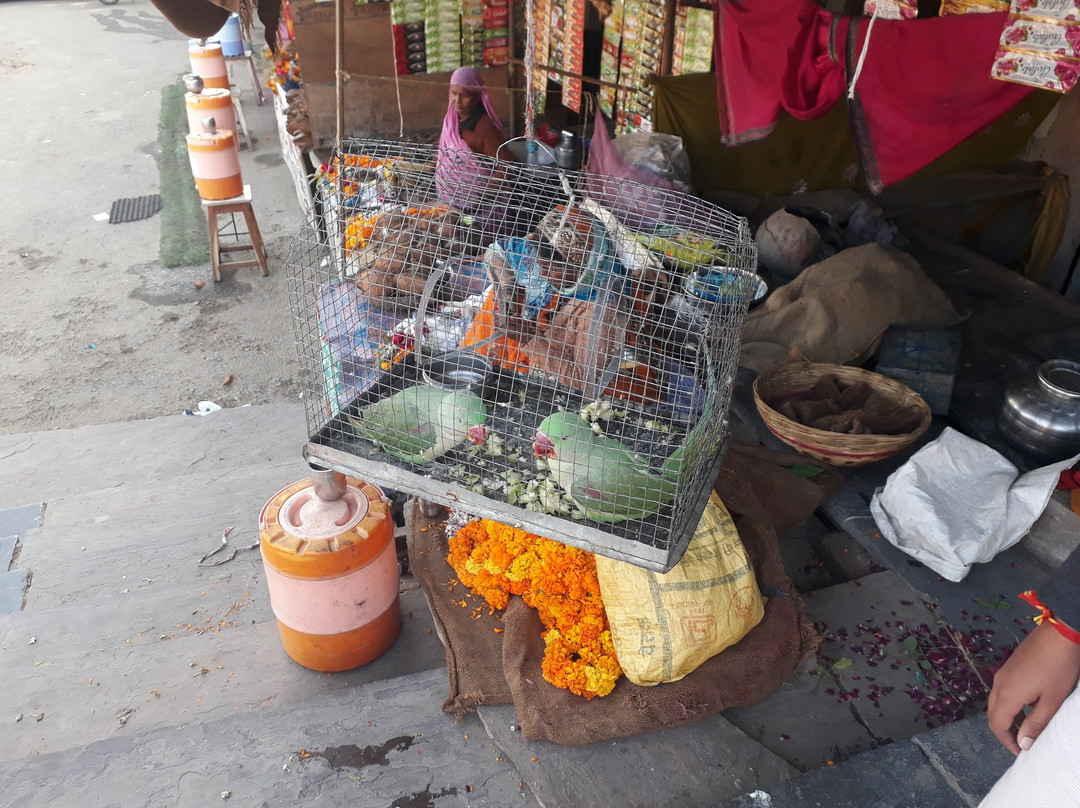 Harni Mahadev-Bhilwara必去景点
