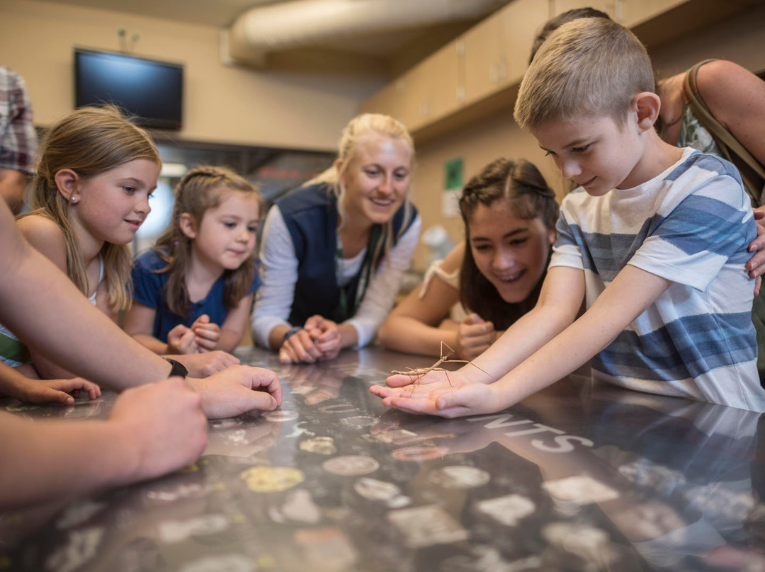 Gateway Science Museum-奇科必去景点