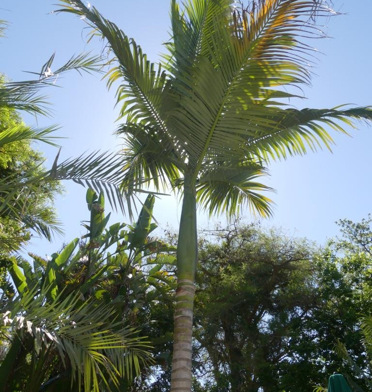 Woodall Country House & Spa主图