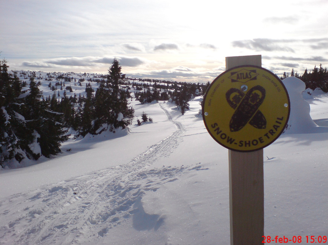Aktiv I Natur Skiskole-利勒哈默尔必去景点