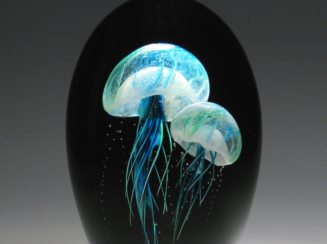 Hot Island Glass-马卡瓦必去景点