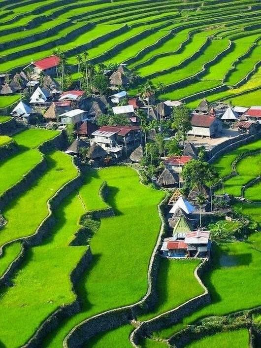 BanaueTours Specialist景点图片