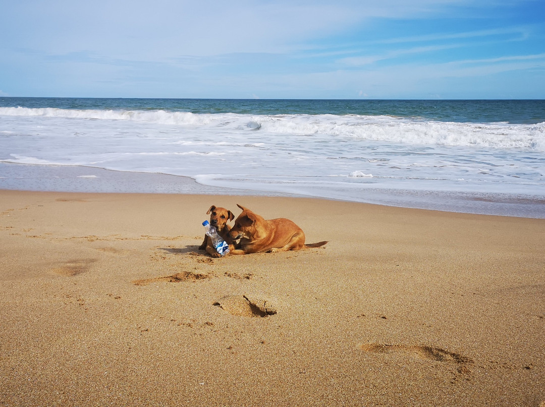 Rekawa酒店住宿-好人缘酒店