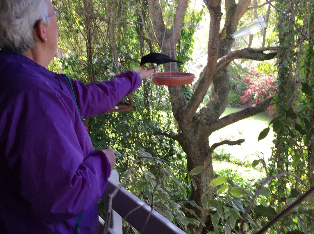 Kingfisher Country House主图