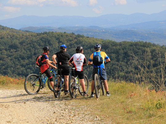 Bike Tours Istria-普拉必去景点