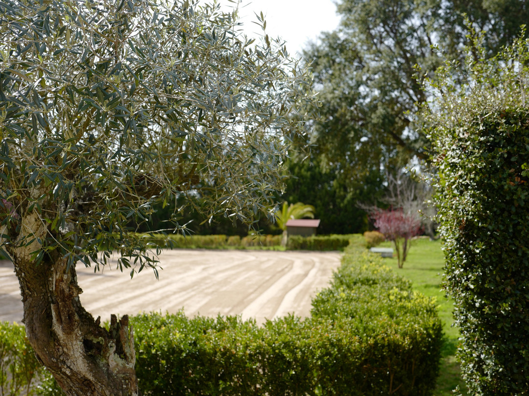 Horse Riding Center Picadeiro d'Arrábida-Vila Nogueira de Azeitao必去景点