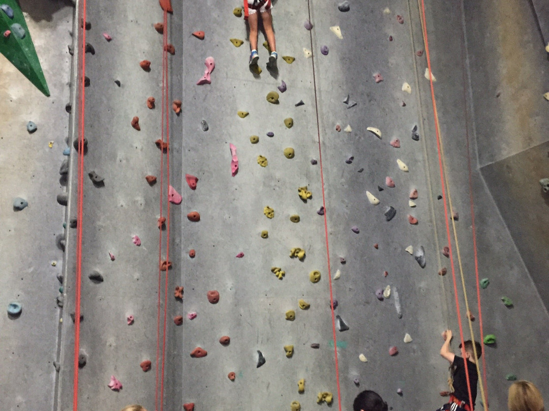Hangdog Climbing Gym-卧龙岗市必去景点