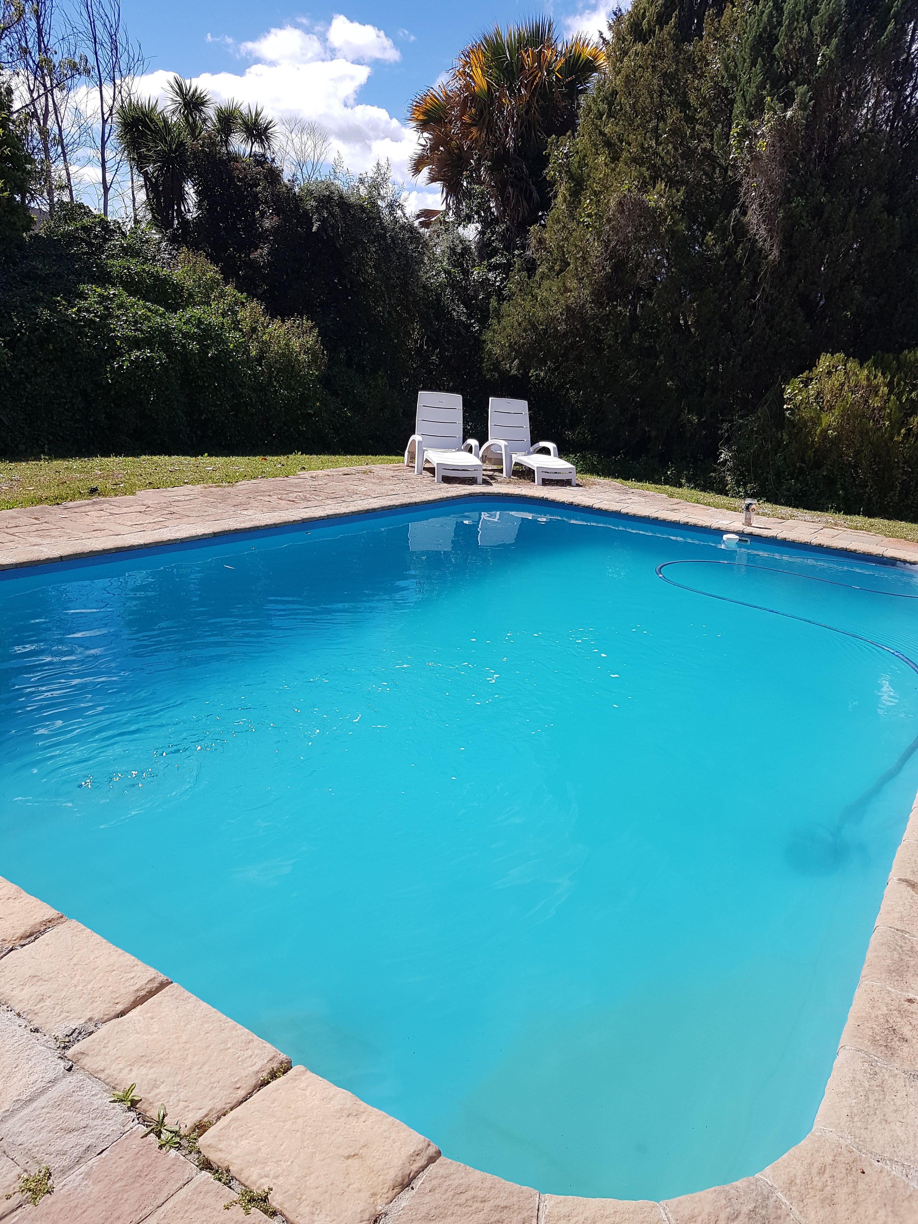 Te Amo Guesthouse-官方