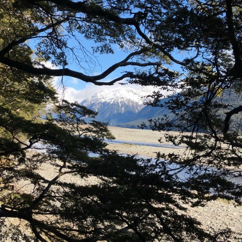 O'Malleys Track-亚瑟隘口国家公园必去景点