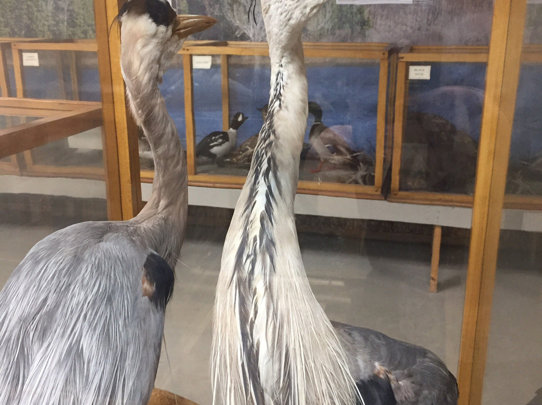 Southern Vermont Natural History Museum-Marlboro必去景点