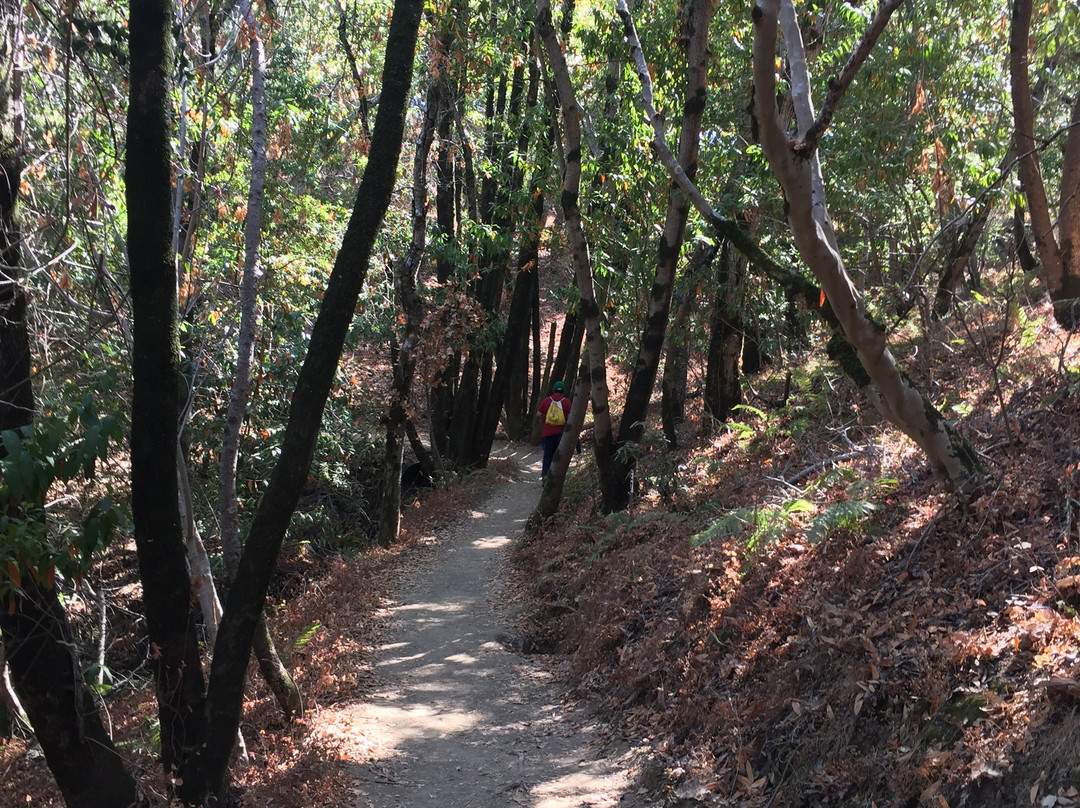 Edgewood Park Natural Preserve-雷德伍德城必去景点