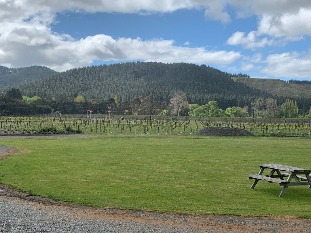 Linden Estate Winery景点图片