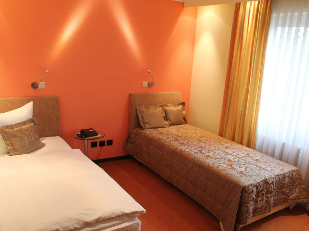 杜密兹尔奥斯特里斯酒店主图