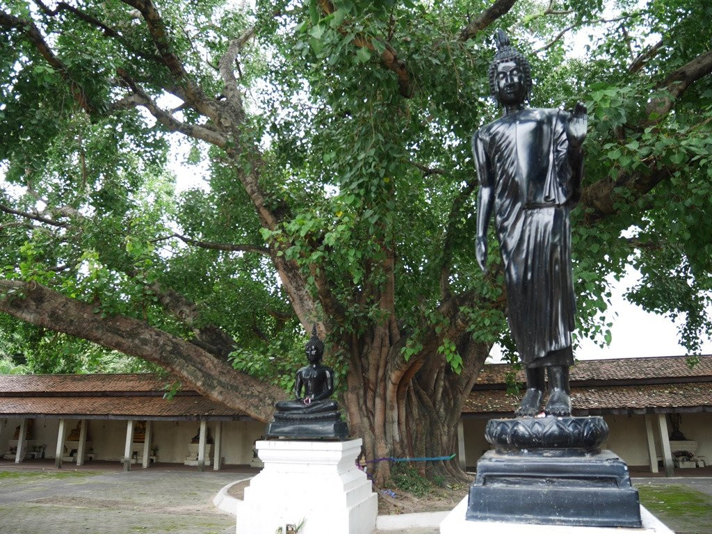 Wat Nuea景点图片