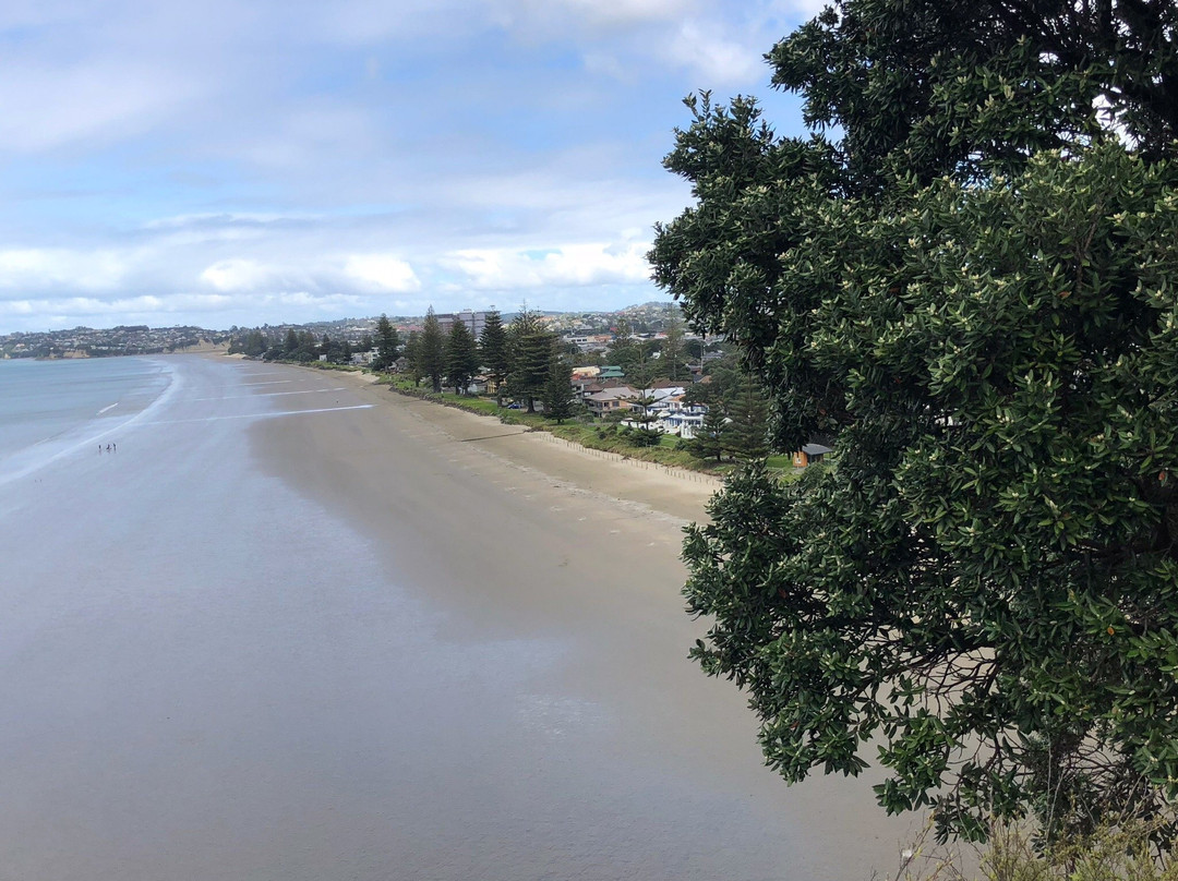 Orewa Lookout-奥雷瓦必去景点
