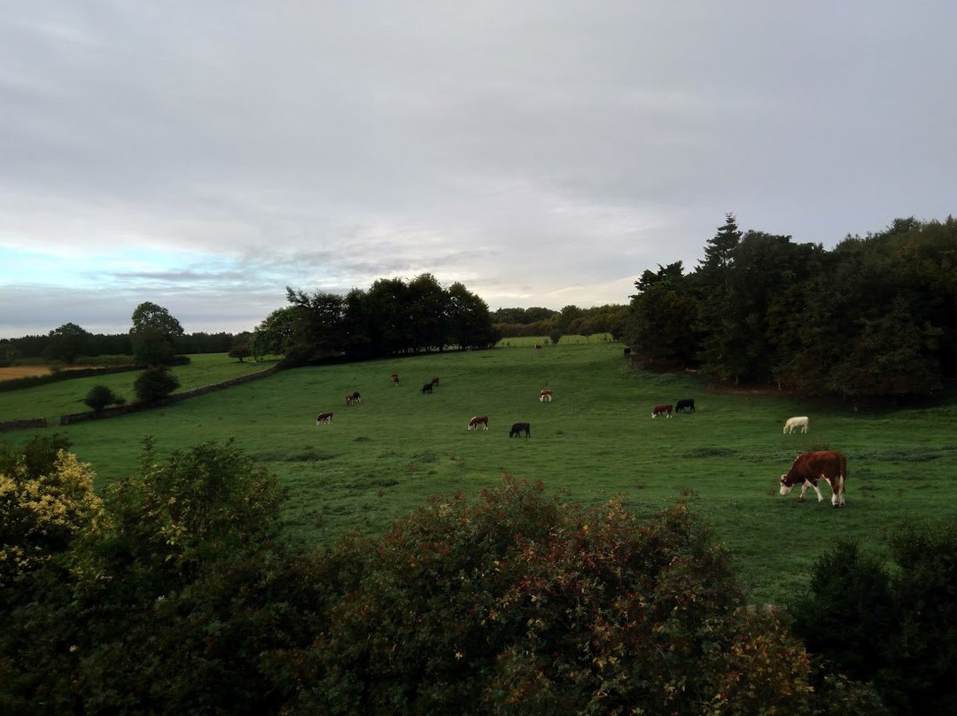 Abbey Home Farm景点图片