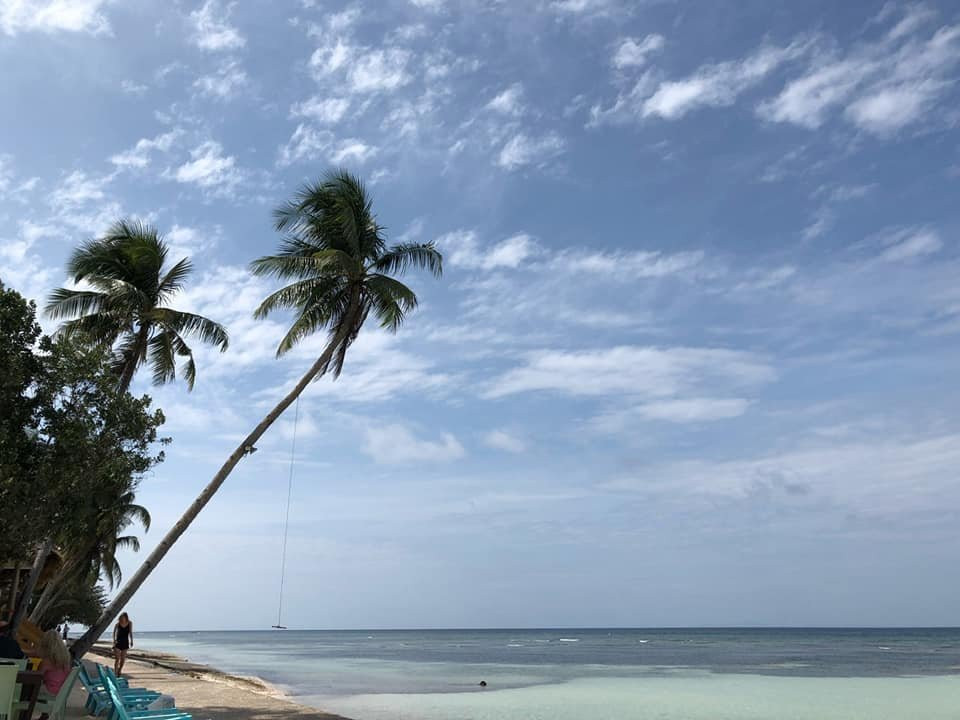 Tropical Fun Ta Sea Rentals主图