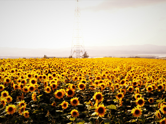 Asahigaoka Park-大空町必去景点