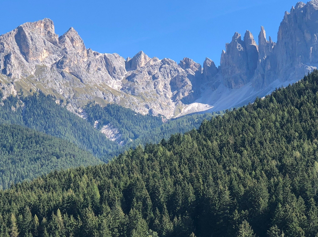 Schlern-Rosengarten / Sciliar-Catinaccio Nature Park景点图片