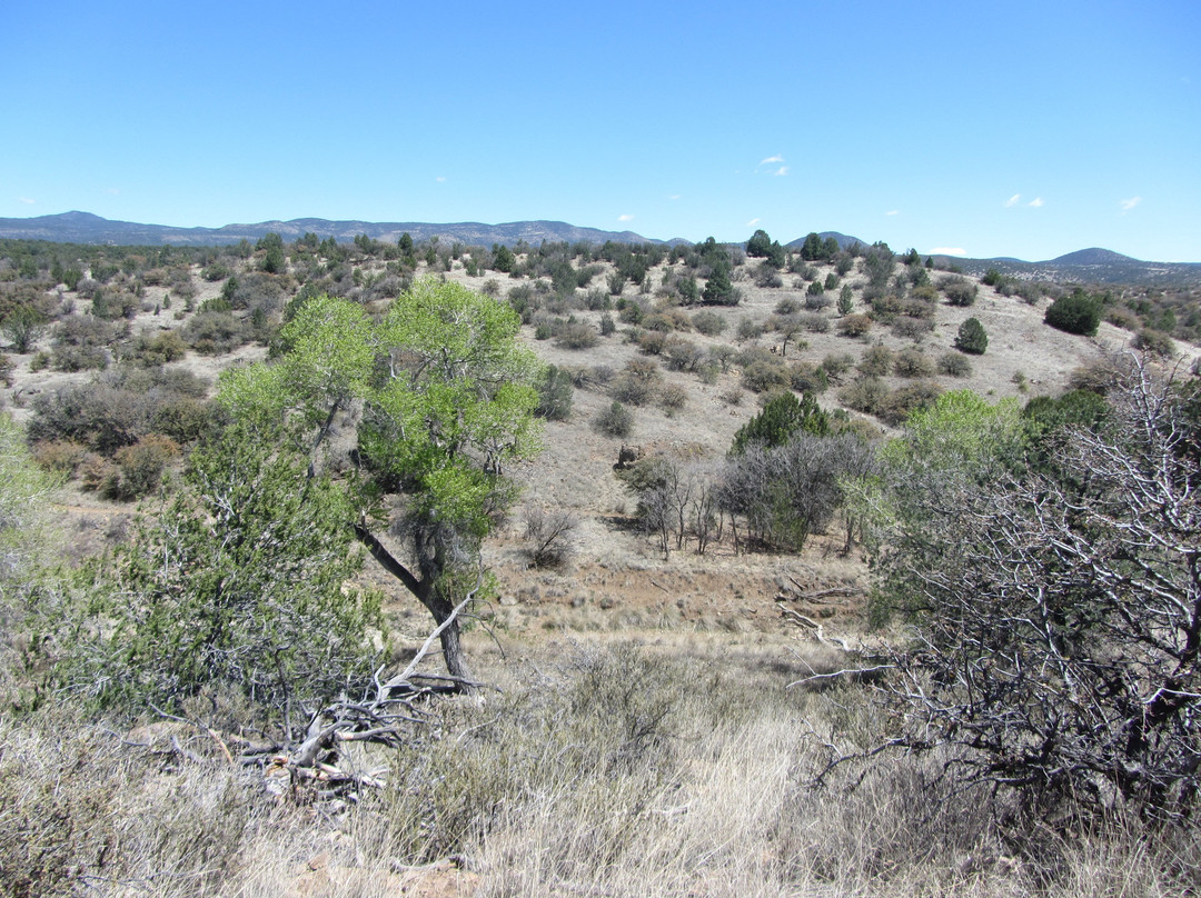 The Dragonfly Trail-Silver City必去景点