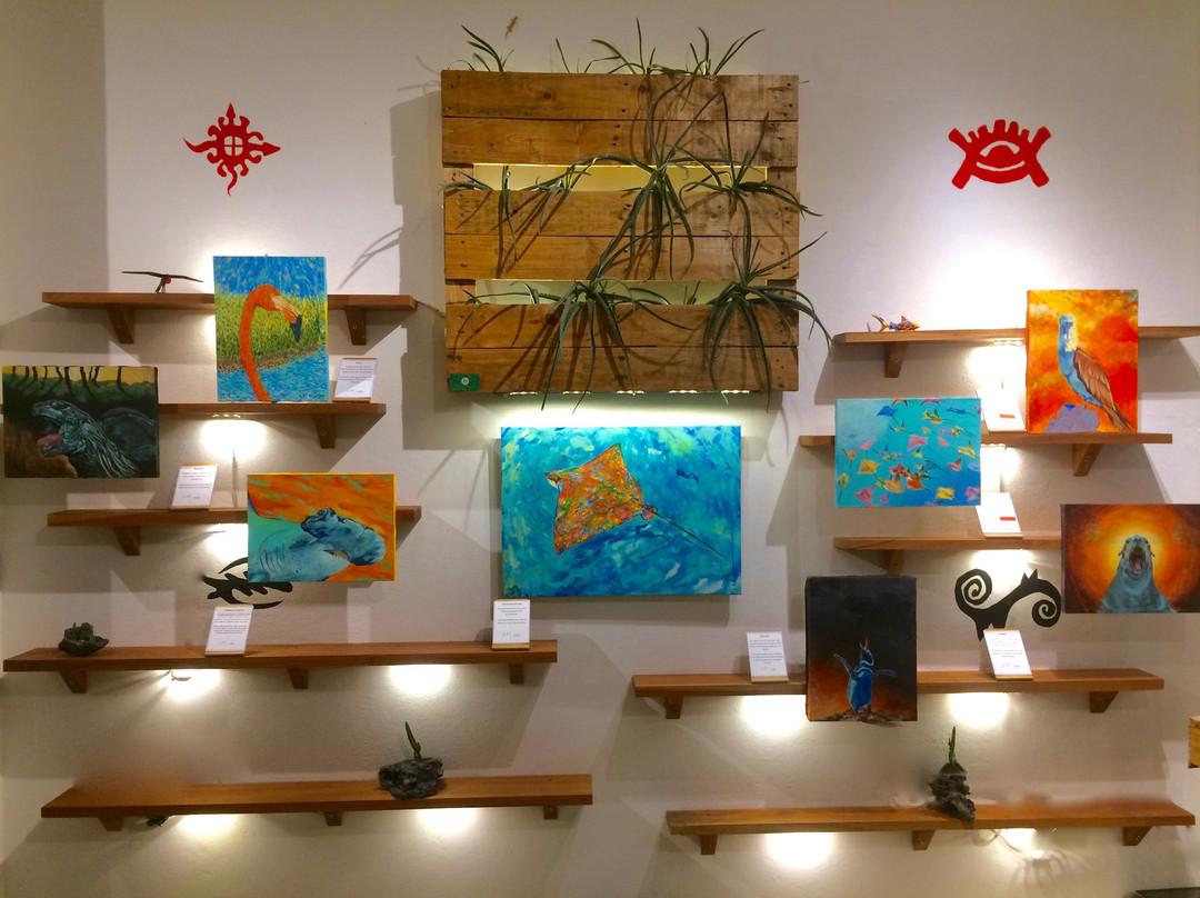 Galería Exótico Ecuador景点图片