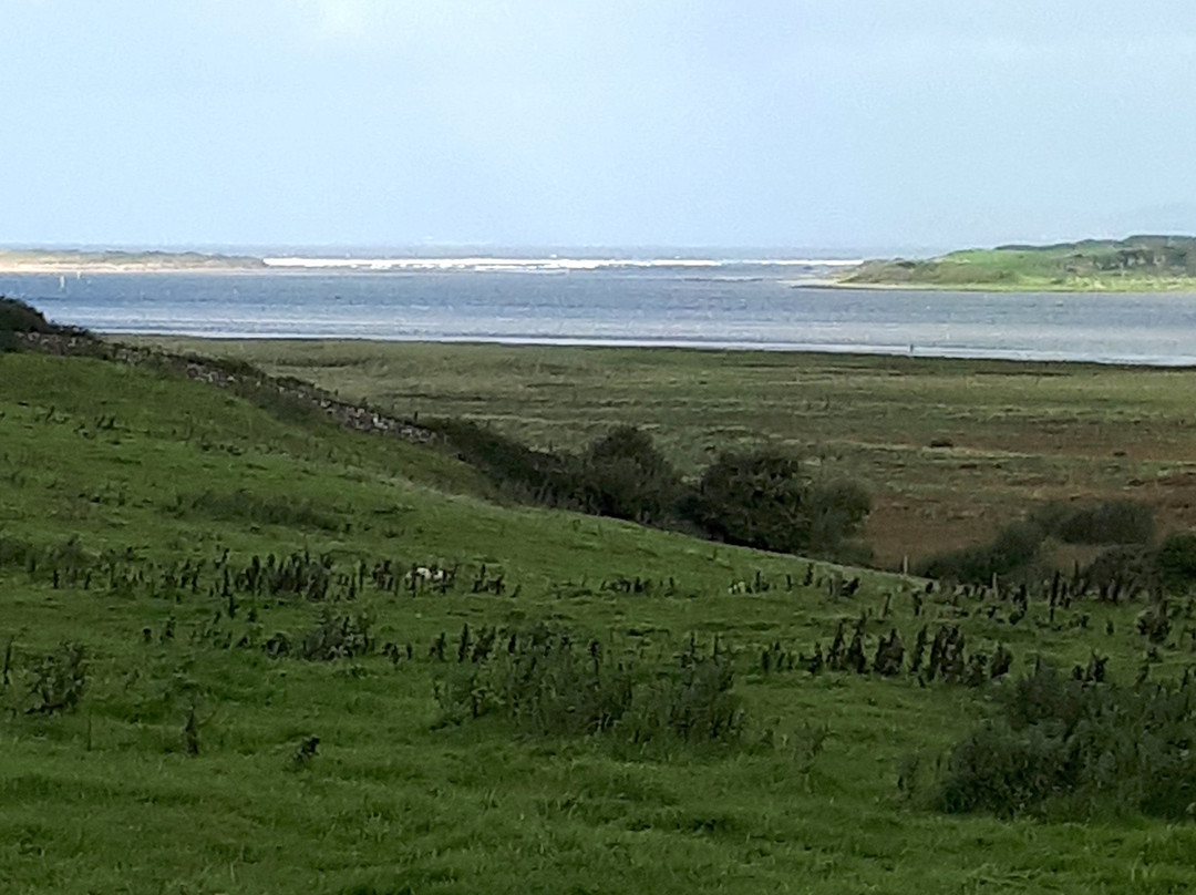 Campview Farm