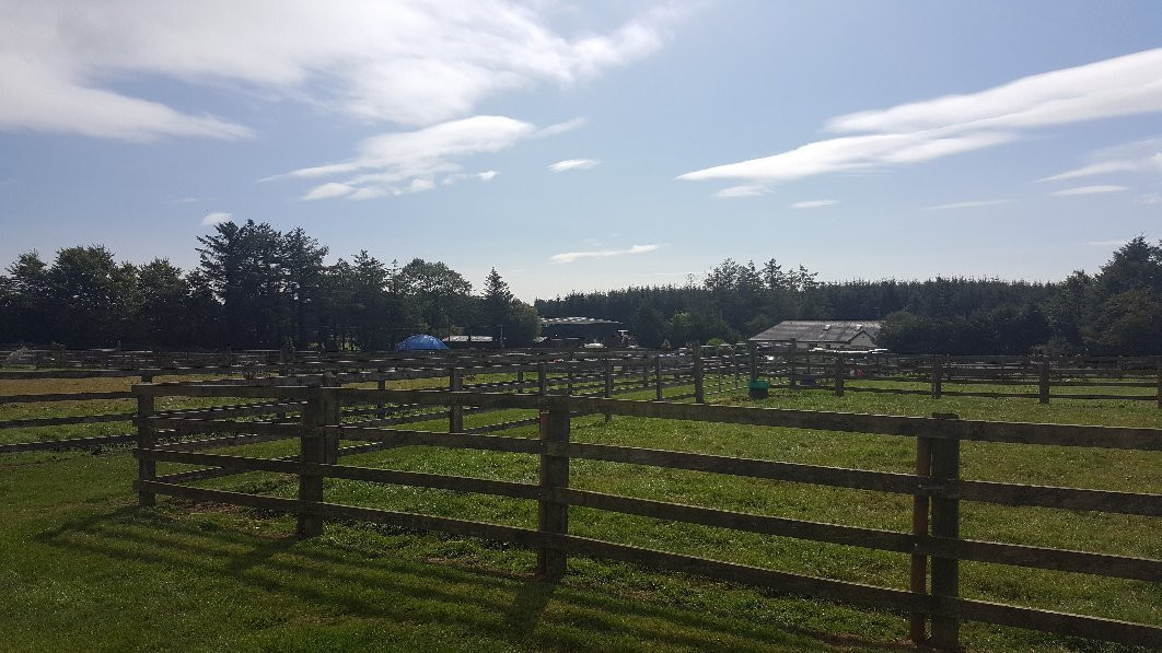 Sallyfort Mini Farm-Stradbally必去景点