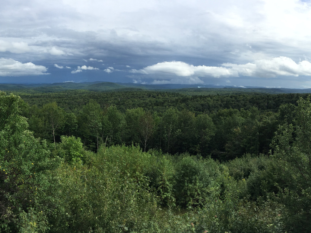 Molly Stark State Park-Marlboro必去景点